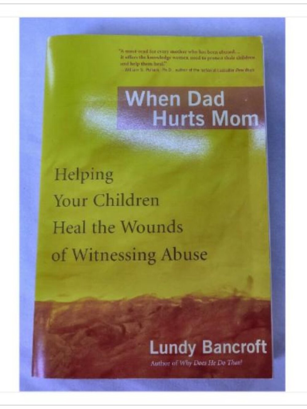 When Dad Hurts Mom: Helping Your Children Heal the Wounds of Witnessing Abuse